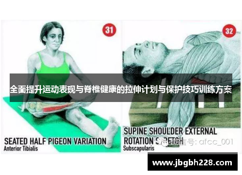 全面提升运动表现与脊椎健康的拉伸计划与保护技巧训练方案